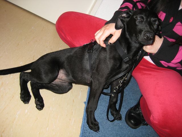 Bild 5